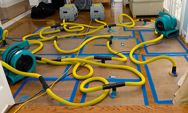 Professional Emergency Water Removal technician working in Long Creek, IL